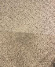 Revive Cleaning image 1