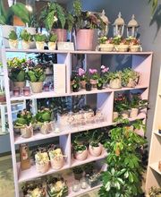 Bluemewerk Stoll Kerstin Bild 8