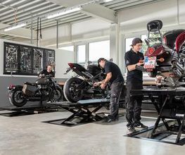 Triumph Cham Bild 1
