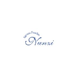 Agenzia Funebre Nunzi logo