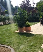 Rollrasen verlegen in Isernhagen