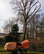 Sos Elagage & Energie Verte image 8