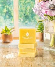 SEED FOREVER image 8