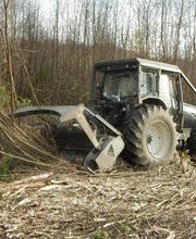 Delamare Environnement image 4