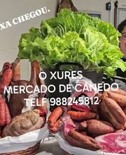 190511352-1-u82ub3sfAH1776353281923.jpeg