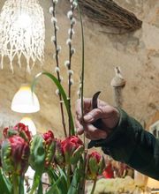 Art Et Nature image 9