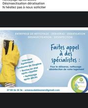 Emeraude Kleaners image 2