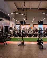 Gimnasio VivaGym San Fernando Janer imagen 7