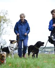 dorothea gawol Bild 3