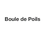 BOULE DE POILS