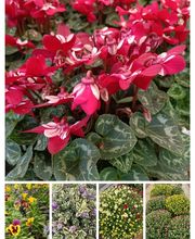 Prévet Paysages image 16