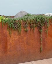 Wittwer Blumen Gartenbau AG Bild 14