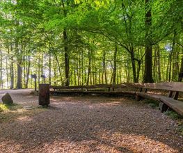 FriedWald Kalletal Bild 7