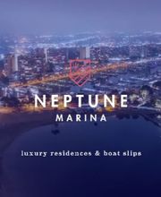 ANYONE Collective - Creative Agency image 17