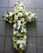 Rosavel la rose des vents image 8