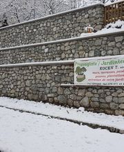 KOCEV T. Paysagiste Sàrl Bild 5