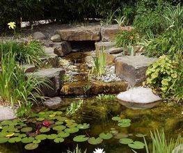 Gartengestaltung