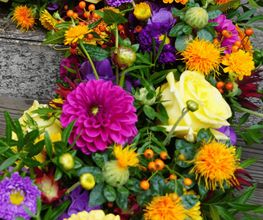 Blumensaison Bild 7