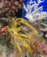 Zoowelt Bechtheim Bild 5