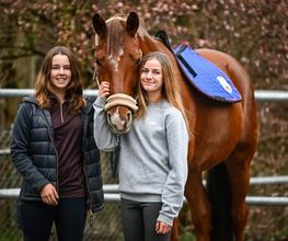 Reitsportzentrum St. Josefen AG Bild 4