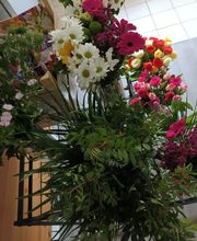 Flowers madness image 3