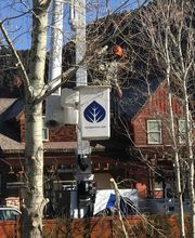 Aspen Tree Service - SavATree image 11
