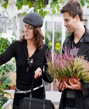 Pépinières Colombié-Vendries image 1