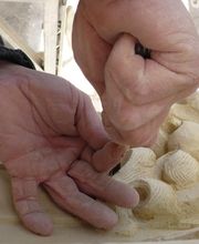 Raud Sylvain image 5