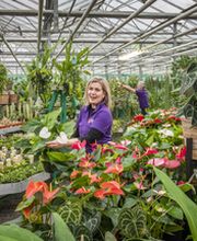 Plantencentrum Velden afbeelding 10