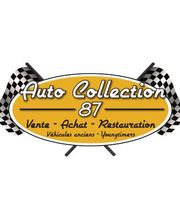 Auto Collection 87 image 1