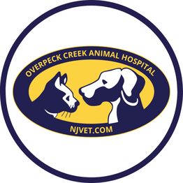 Overpeck Creek Animal Hospital