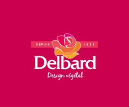 DELBARD TONNERRE image 1