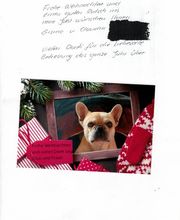 Tierarztpraxis Ullmann Bild 3