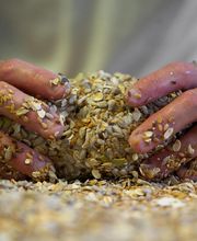Matt The Baker boulangerie Bio image 4