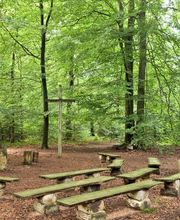 FriedWald Bremer Schweiz Bild 7