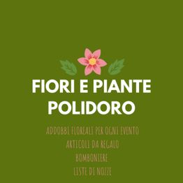 Fiori e piante articoli da regalo Polidoro logo