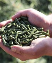 Grastrocknungs-Genossenschaft Märstetten und Umgebung Bild 2