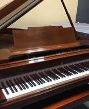 B Natural Pianos & Music School image 10