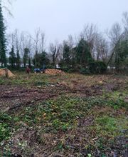 Nature Domestiquee image 10