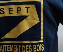 S.E.P.T image 1