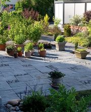 Wittwer Blumen Gartenbau AG Bild 10