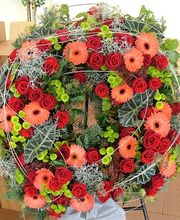 Blumenland Wiedmaier Bild 7