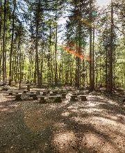 FriedWald Buxtehude Bild 9