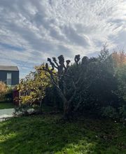 Alpes Jardins Tirozzini Paysagiste Bild 7