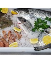 Rocco´s Lebenslust Bild 3