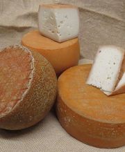 Schuppli's Geisse-Chäsi Bild 13