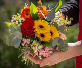 Il Etait Une Fleur image 5