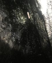 Schatz Francky image 4