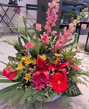 Tendance O' Naturelle image 1