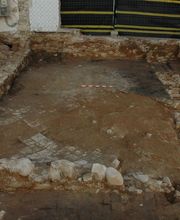 IN SITU SCP imagen 9